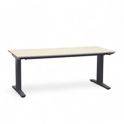 Stehtisch Ergodata Line Desk (Ahorn, Normal gebraucht, 160x80)