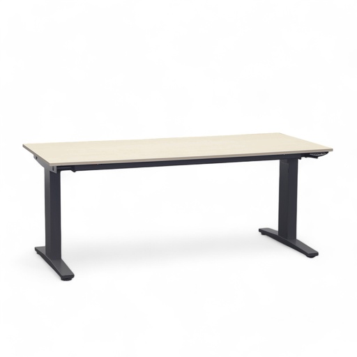 Stehtisch Ergodata Line Desk (Ahorn, Normal gebraucht, 160x80)