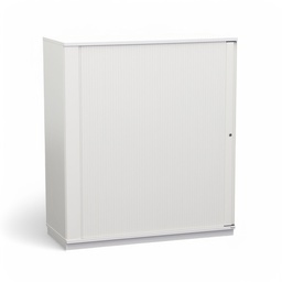 Roller Shutter Cabinet Bene (Normal used, with key)