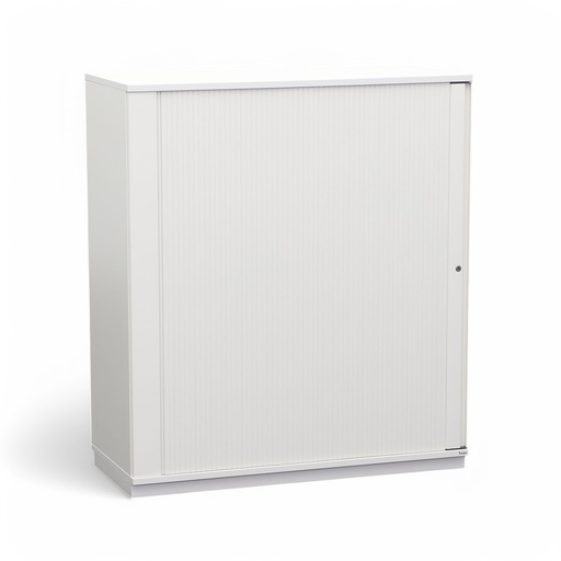 Roller Shutter Cabinet Bene (Normal used, with key)