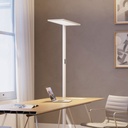 LED floor lamp Regent Lightpad Tunable Office single head, (New)