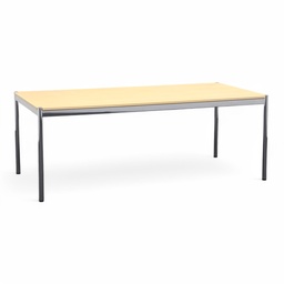 Designtisch USM Haller (Normal gebraucht)