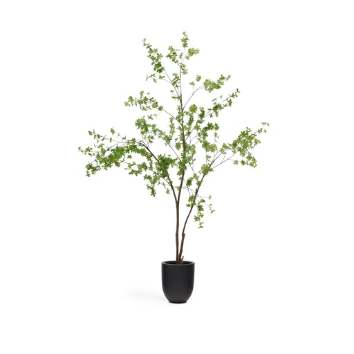 Kunstbaum Enkianthus mit schwarzem Übertopf 214 cm (Neu)